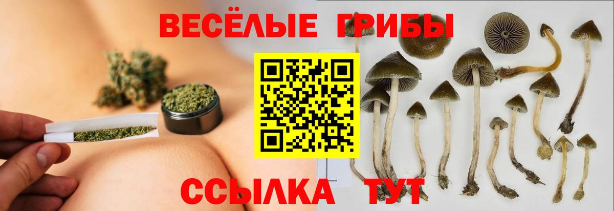 Галлюциногенные грибы Magic Shrooms  Галлюциногенные грибы Cubensis  Ржев  Вход с VPN 